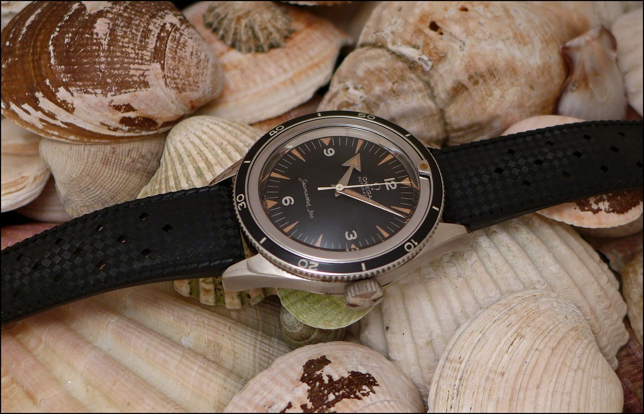 ck2913 seamaster